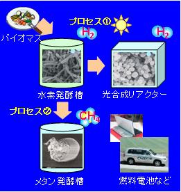 bio-hydrogen